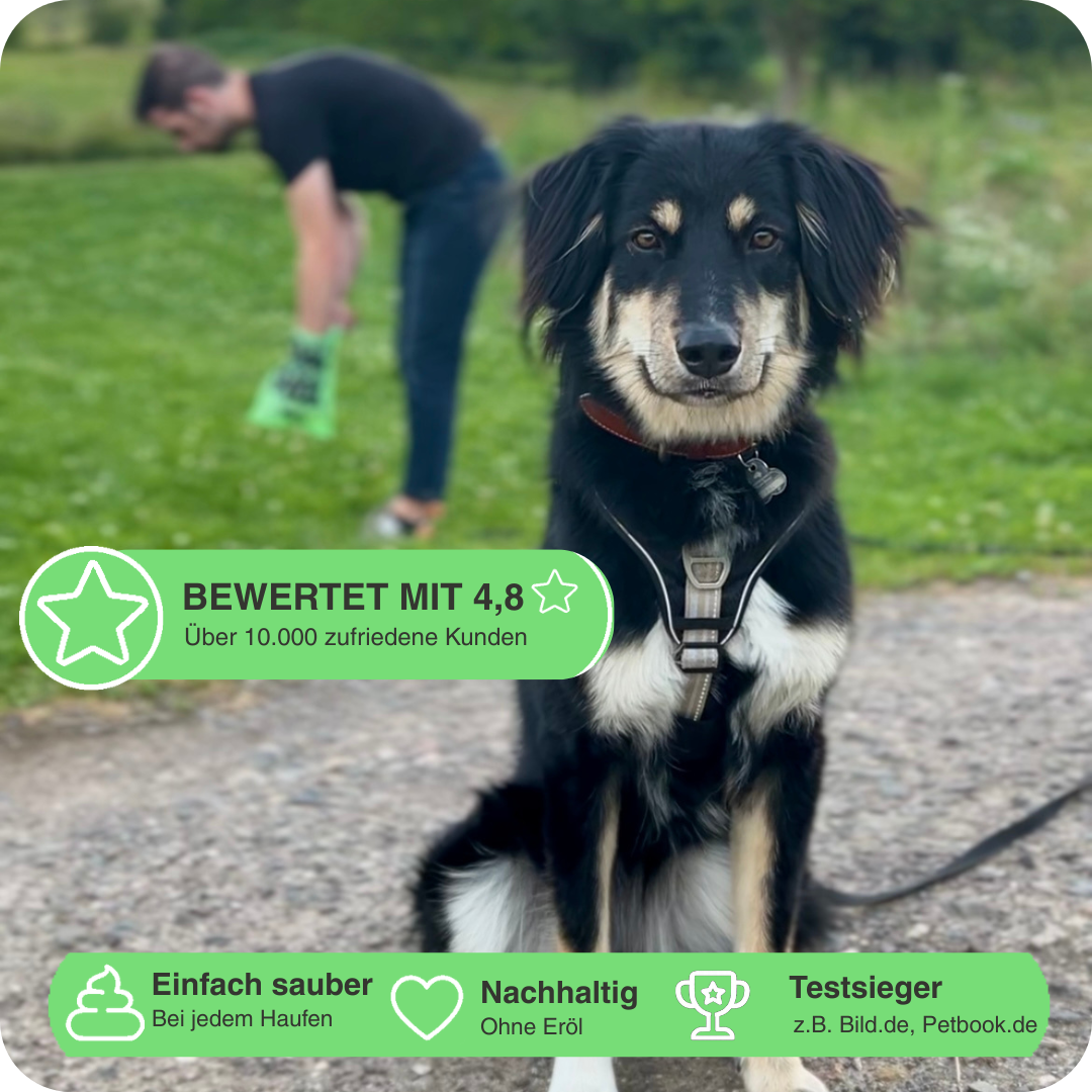 Umweltfreundliche Hundekotbeutel – 100% Maisstärke, extra reißfest